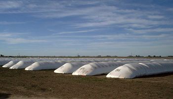 Los 3 factores que motivaron una demanda adicional de 30.000 silo bolsas