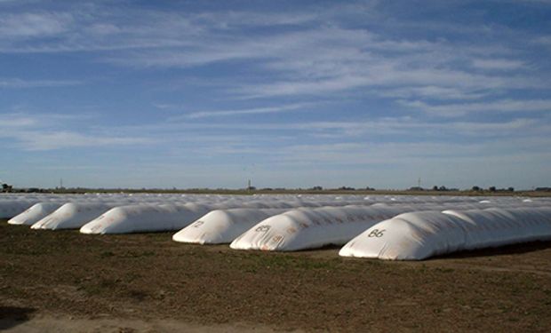 Los 3 factores que motivaron una demanda adicional de 30.000 silo bolsas