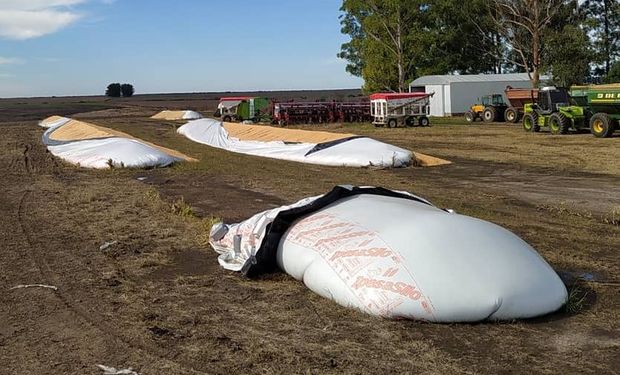 La carta y el video de un productor al que le abrieron 6 silo bolsas: hay dos detenidos