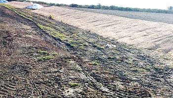 El Gobierno deslizó que detrás de los ataques a silo bolsa podría estar la oposición