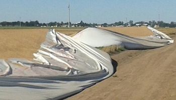 Oliva, la ciudad con récord de silobolsas rotos a productores