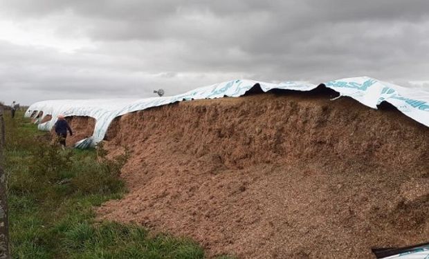 Alerta por la inseguridad: le tajearon un silo con picado de sorgo y advierte que la patrulla rural "no da abasto"