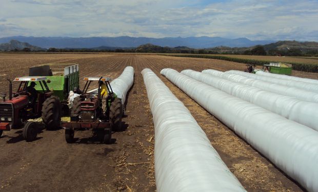 Se trata de una tecnología que permite guardar el grano o la planta cortada y picada, en una zona donde no crece el pasto en invierno.