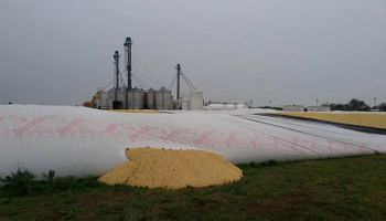 Nuevo ataque a silobolsas, esta vez con 600 toneladas de soja