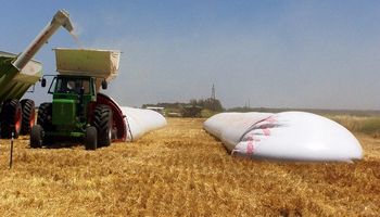 Silo bolsas: claves para lograr un correcto almacenamiento de granos