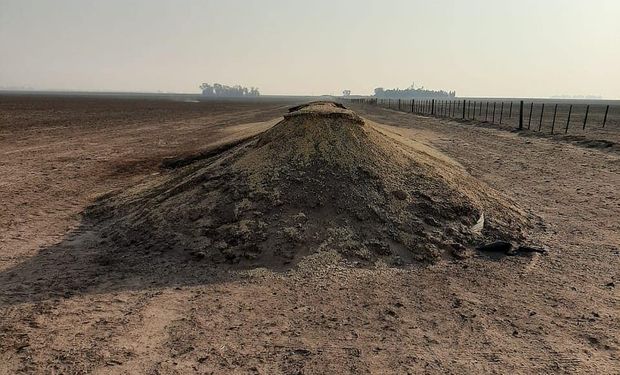 Buscan esclarecer el incendio de unos 20 silobolsas en Córdoba y advierten que es alto el riesgo de nuevos focos