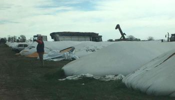 Vandalizaron 20 silo bolsas de Cargill y hay preocupación en la zona