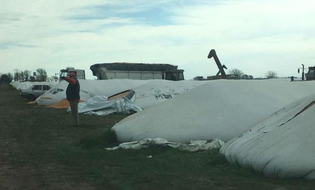 Vandalizaron 20 silo bolsas de Cargill y hay preocupación en la zona