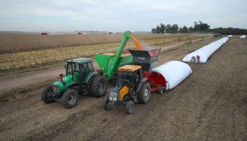 ¿Y si la garantía del crédito ya estuviera en tu campo? Una nueva forma de financiarse sin vender ni un kilo de grano ni desprenderte de la hacienda con plazos de hasta 5 años