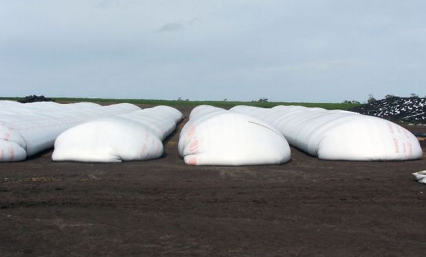 Hoy miércoles se publicó en el Boletín Oficial un listado de beneficiarios del régimen denominado “Estímulo Agrícola Plan Belgrano”.