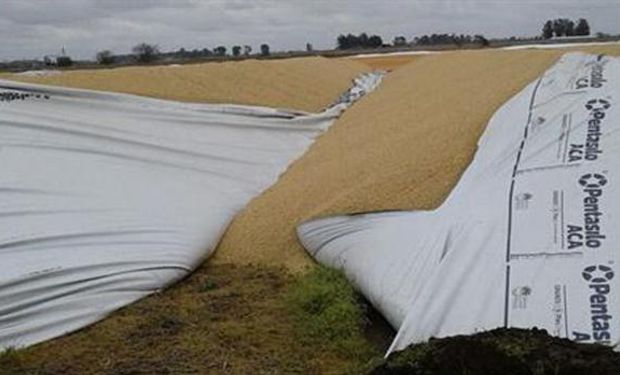 Uno de los silobolsas rotos. Foto: Asociación Rural de Henderson.