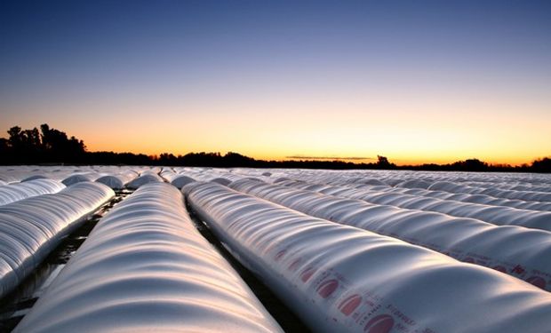 En la actualidad, se estima en 40 millones de toneladas la capacidad de almacenaje teórica de los productores con el "silo bolsa".