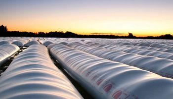 El proceso clave del campo que ahora es 100% digital: "Marca un hito en la modernización del financiamiento del agro”