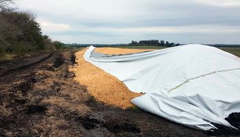 Vandalismo rural: el campo pidió agregar la figura como delito al Código Penal