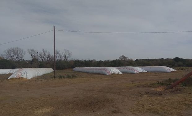 Seguridad rural: ya funciona la primera red de alarmas de Córdoba