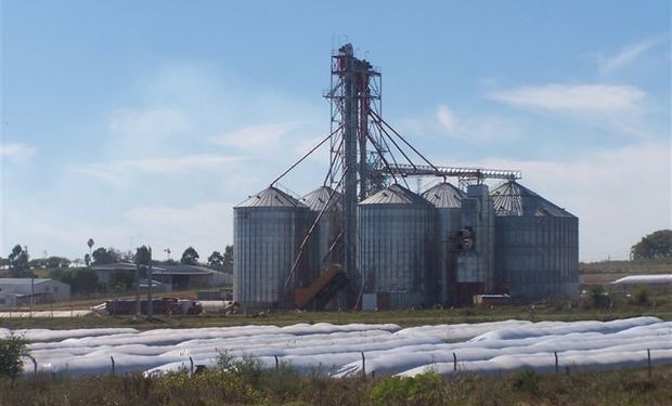 Uruguay: cosecha de granos desborda los silos