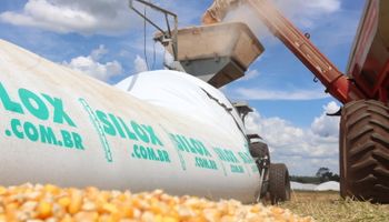 Safra recorde agrava problema da armazenagem de grãos no país