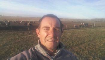 "¿Y si prueba trabajando?": la dura carta de un productor a Feletti