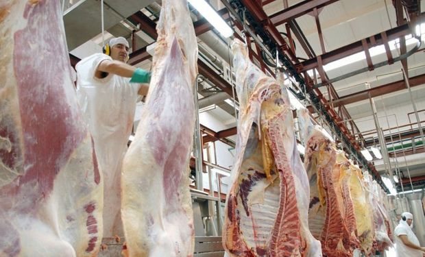 "Tenemos la posibilidad de exportar a Chile que en la actualidad importa carne de Paraguay", ministro José Brillo. Foto: LMNeuquén.