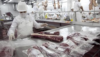 Trabajadores de frigoríficos ratificaron que van a continuar con sus tareas normalmente