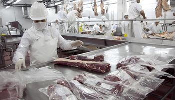 Trabajadores de la carne denunciaron falta de competitividad e informalidad en la industria frigorífica