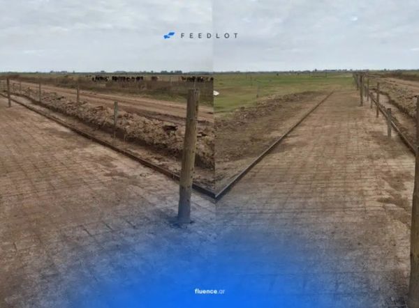 Sistema feedlot