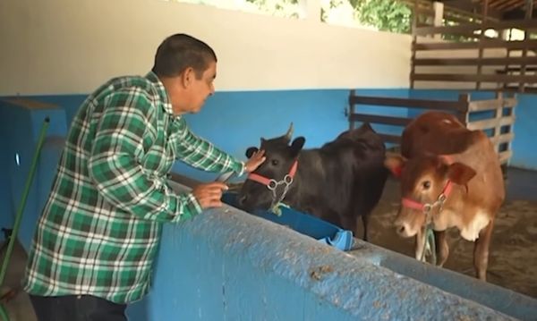 sitio-zeca-pagodinho-xerem-agro-urbano2