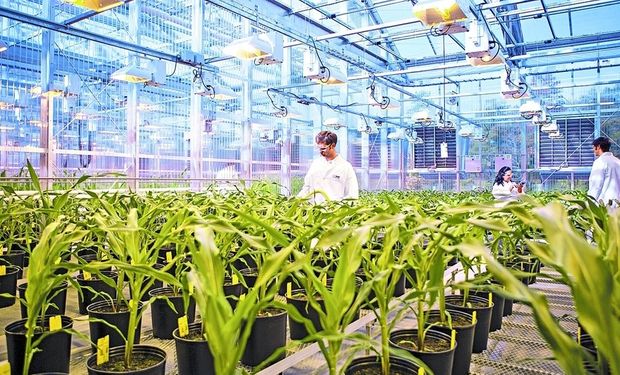 En la localidad de Limburgerhof, Alemania, Basf tiene su centro mundial de investigación de agro, que ahora sumaría nuevos negocios.