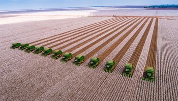 SLC amplia área plantada em 13,6% para a safra 2025/26