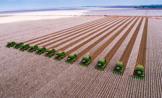 SLC amplia área plantada em 13,6% para a safra 2025/26