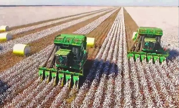 Culteverso contará com trilhas de treinamentos para agricultores, ferramentas de interação e espaço para feiras agrícolas. (foto -divulgação)