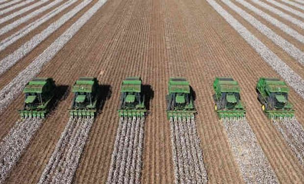 Brasil deve ter uma das melhores safras da história de algodão. (foto - SLC Agrícola)