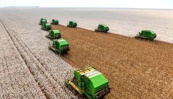 SLC Agrícola registra receita recorde de R$ 8,6 bilhões e amplia área plantada