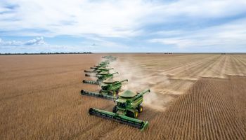 Nem produtividade acima da média salva SLC do efeito El Niño