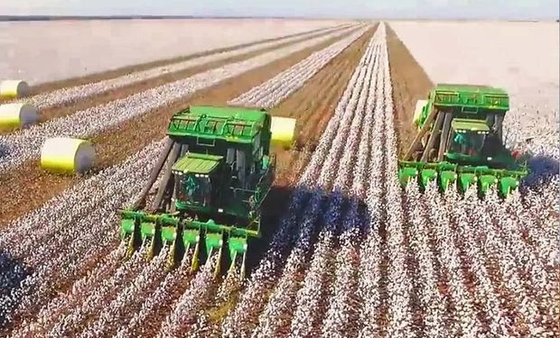 A SLC informou também que preserva percentual significativo da área total de suas fazendas, superior ao exigido pelo Código Florestal Brasileiro para áreas de Cerrado. (foto - SLC Agrícola)