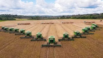 SLC eleva resultados financeiros com aumento de área e produtividade