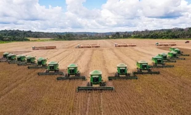 SLC eleva resultados financeiros com aumento de área e produtividade