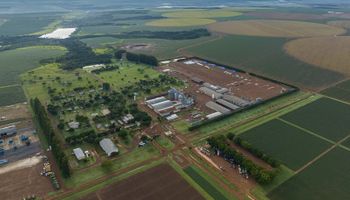 Minerva e SLC Agrícola firmam projeto de longo prazo por agricultura regenerativa