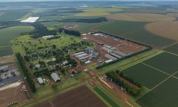 Minerva e SLC Agrícola firmam projeto de longo prazo por agricultura regenerativa