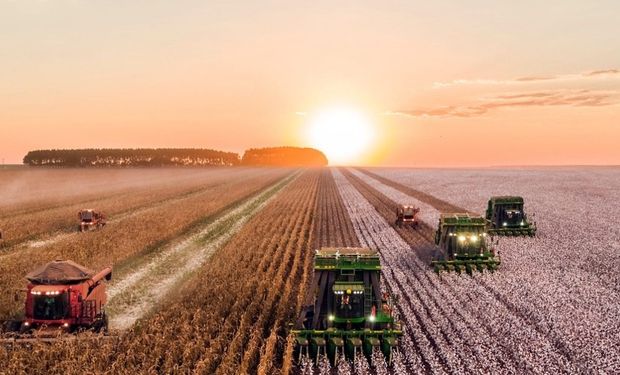 SLC compra Sierentz e amplia liderança como maior área agrícola do país