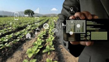 Soluciones IoT para el campo: cómo potenciar a las empresas del agro con tecnología