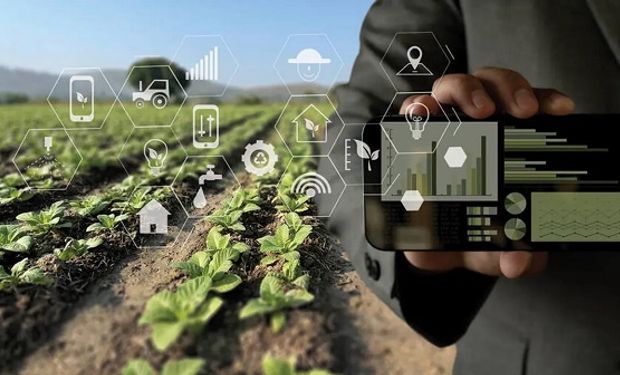 Soluciones IoT para el campo: cómo potenciar a las empresas del agro con tecnología