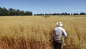“Smart Farming”, biológicos y químicos: la tendencia que marca al presente (y futuro) de la agricultura
