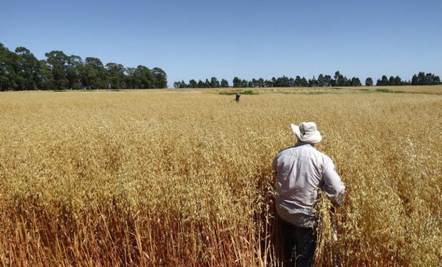 “Smart Farming”, biológicos y químicos: la tendencia que marca al presente (y futuro) de la agricultura