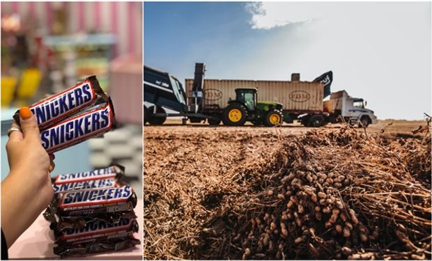 ¿Sabías que en los famosos Snickers y en los M&M’s hay maní argentino? El gigante de los snacks medirá qué tan sustentable es el cultivo en el país