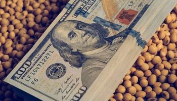 Dólar soja II: la liquidación de divisas superó los 1000 millones de dólares en los primeros seis días