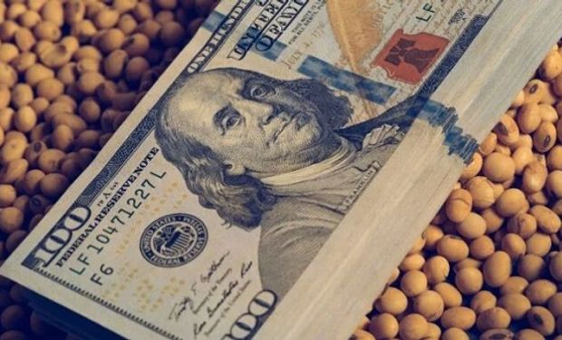 Dólar soja II: la liquidación de divisas superó los 1000 millones de dólares en los primeros seis días