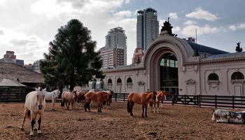 Habilitaron las elecciones en la Sociedad Rural: resta definir la fecha