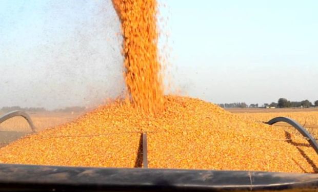 Además de afectar a los productores agropecuarios, estos recortes también impactarán en otras actividades relacionadas con esta cadena de valor.