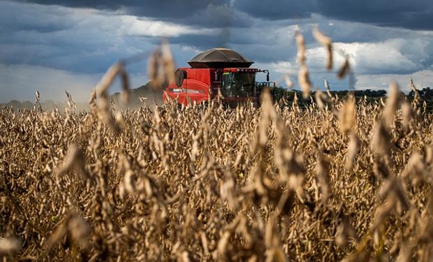 La menor producción en Argentina limitó las pérdidas en Chicago y los futuros de soja cerraron con saldo dispar